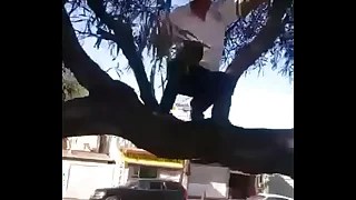 Rescatando el Balón